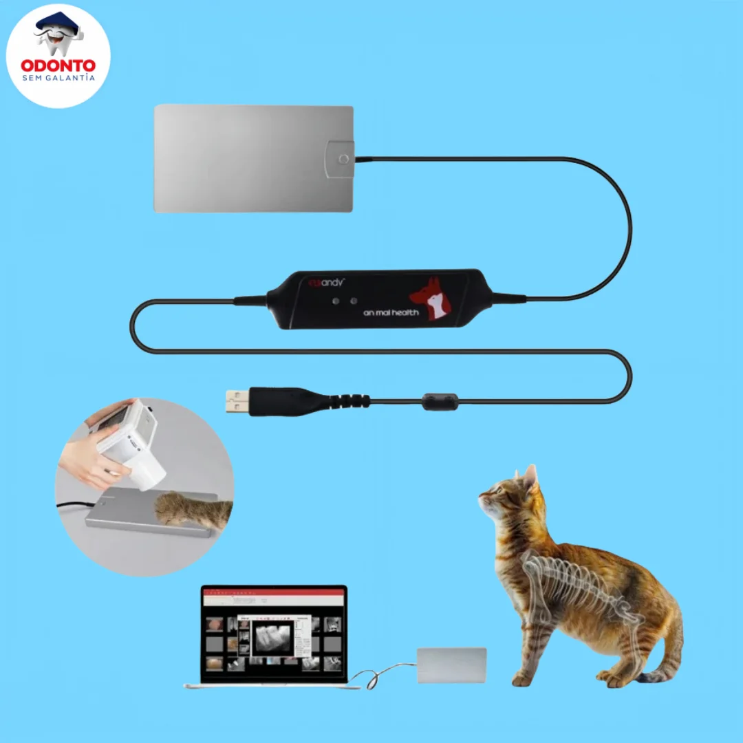 

Veterinary Handy RVG Sensor Size 4 Digital X-Ray Imaging System for Animal Dental Diagnostics