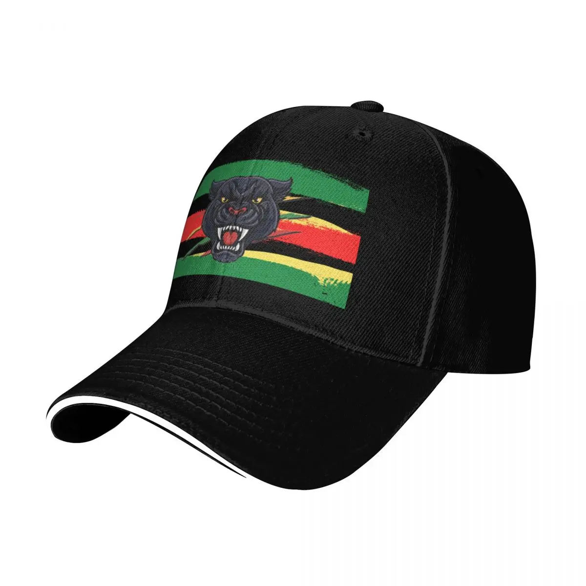 Penrith Panthers Scratch Street Paint Baseball Cap Low Profile Unstructured Unisex for Men Women Outdoor Golf Running Hiking