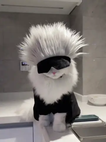 Jujutsu Kaisen Gojo Satoru Pet Eye Mask Supplies Cat Coslpay Tool Headgear Hat Decoration Headgear Photo Dog Wig