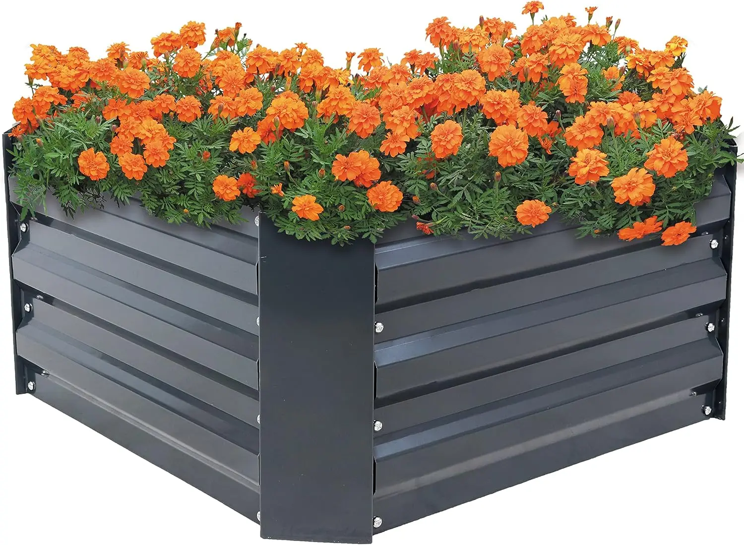 

11.75" H Raised Metal Garden Bed - Galvanized Raised Garden Bed Outdoor for Vegetables and Flowers - Dark Gray - Square