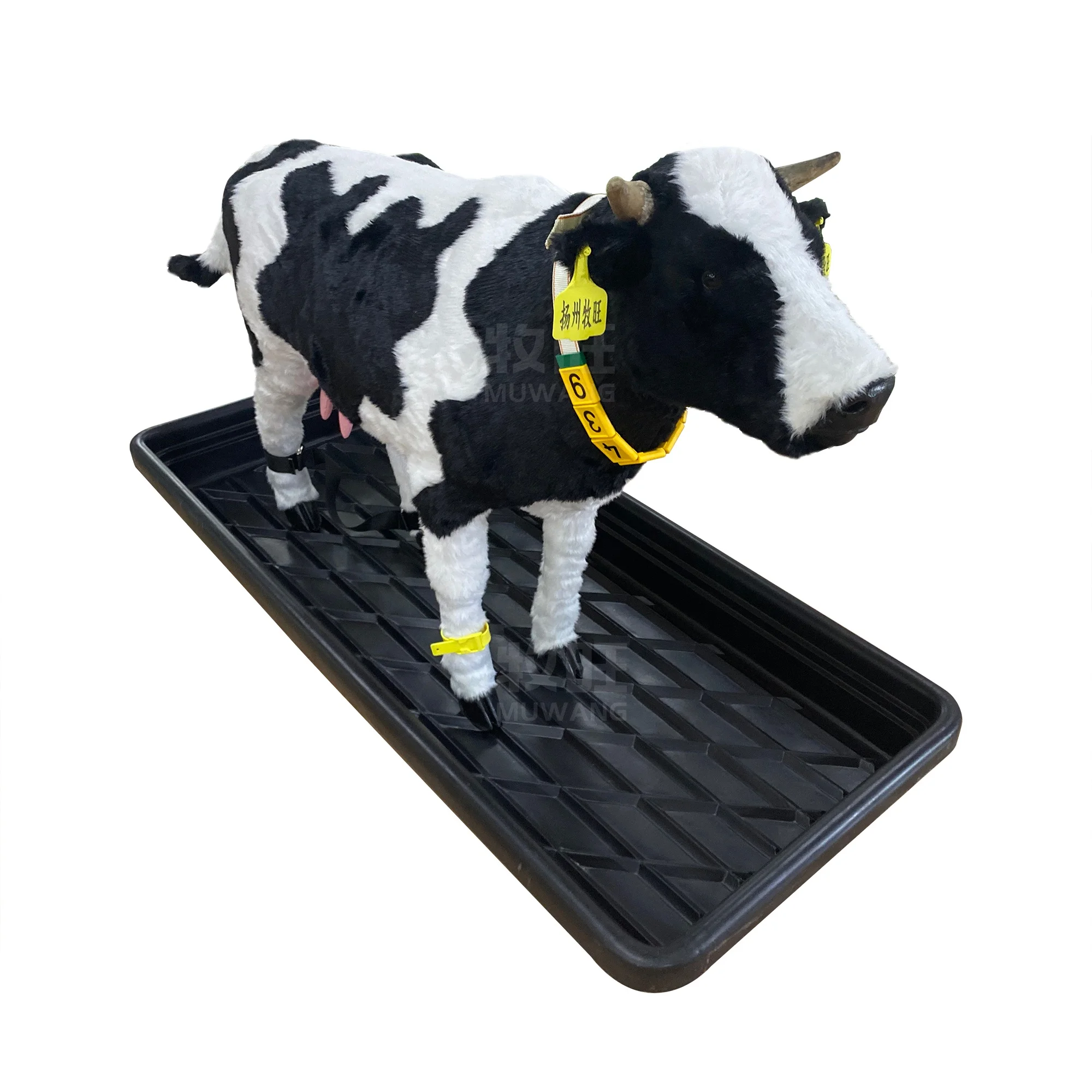 Veterinary Equipment For Dairy Cow Farm Plastic Cow Foot Bath Container Sanitation Veterinary Accessories