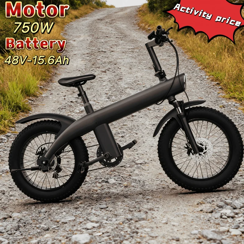 

20-inch 4.0 wide tire mountain off-road electric bicycle 750W motor 48V 15.6AH battery electric adult high-power power scooter