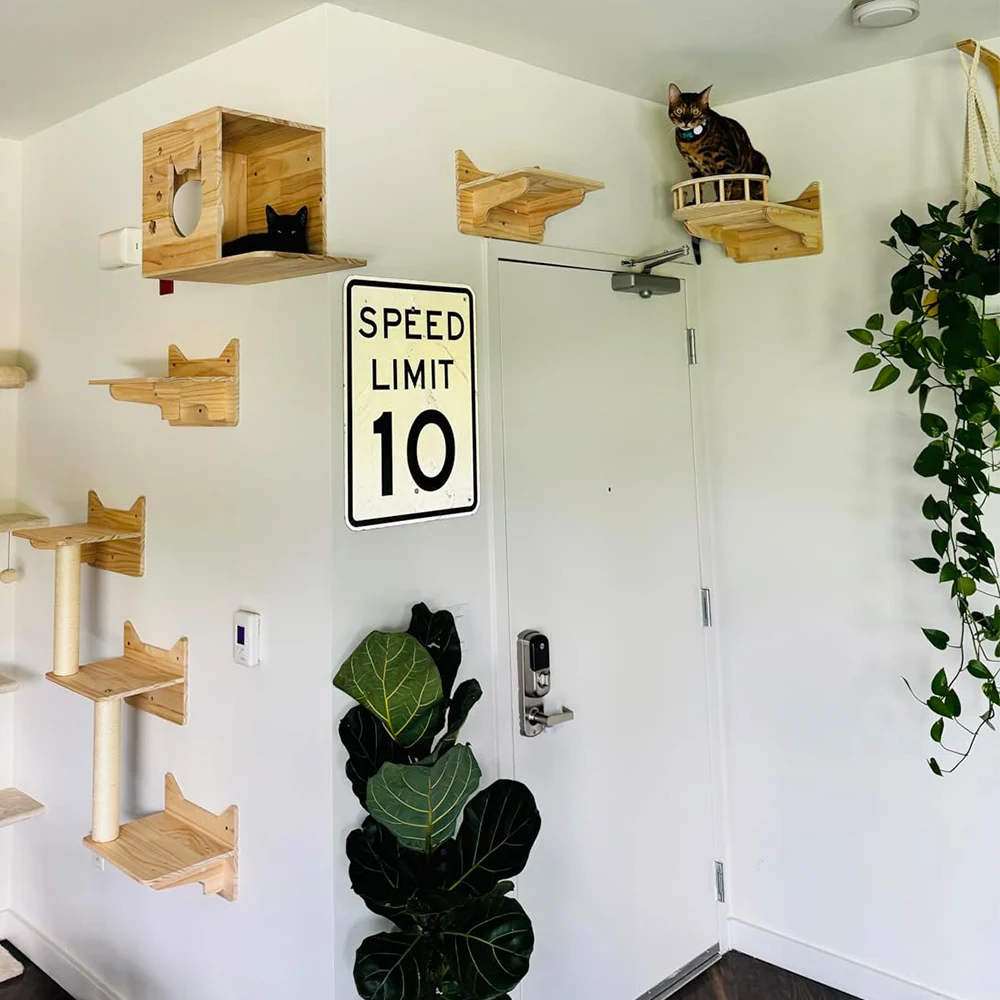 壁に取り付けられた猫のハンモック,木製のスクラッチャー,登山棚,子猫のベッド,安定した止まり木,睡眠中の遊び