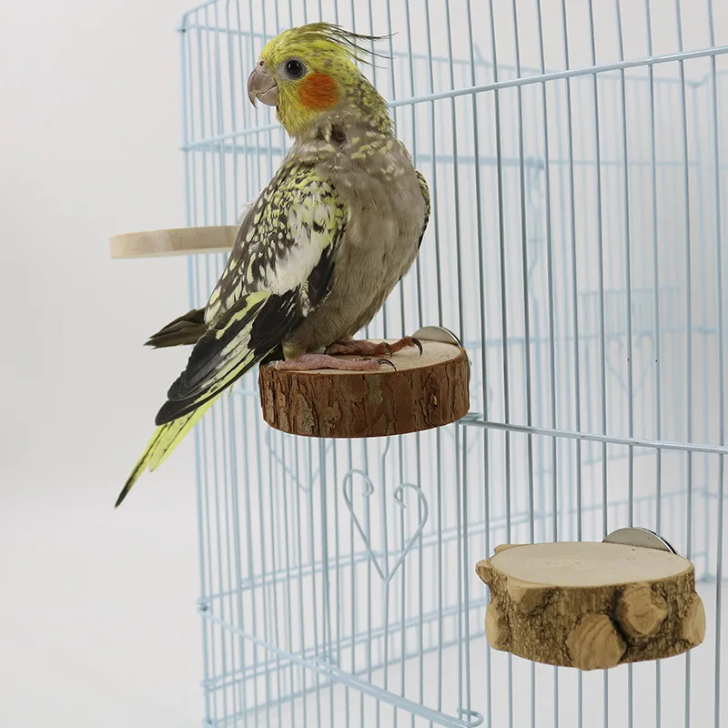 Apple Wooden Parrot Bird Perch Stand Platform Round Pet Squirrel Bird Hanging Toy Juguetes Para Pajaros Pets Items Accessories