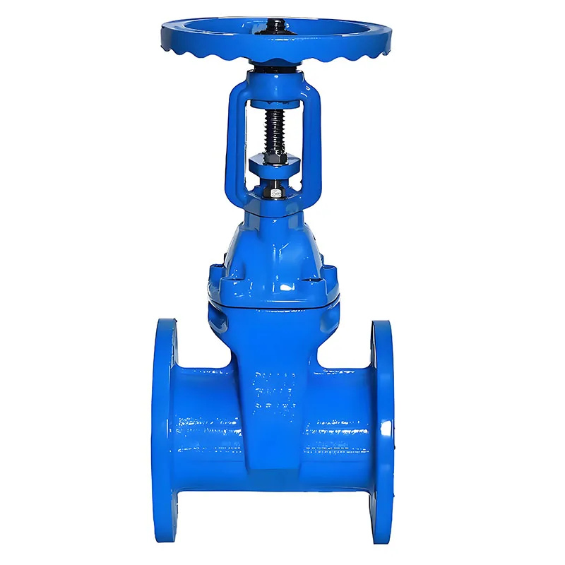 National standard  Ductile iron water Flexible seat seal soft seal flange gate valve fire service tap valve