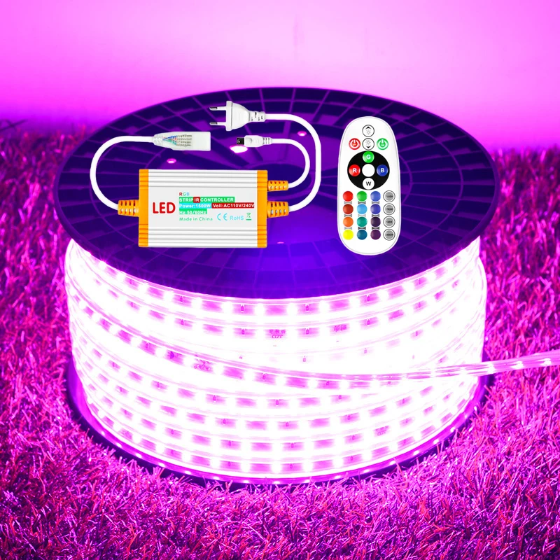 220v-rgb-led-ストリップライト-60leds-m-柔軟なテープ防水リモコン、家庭用照明装飾用の-1500w-eu-電源プラグ付き