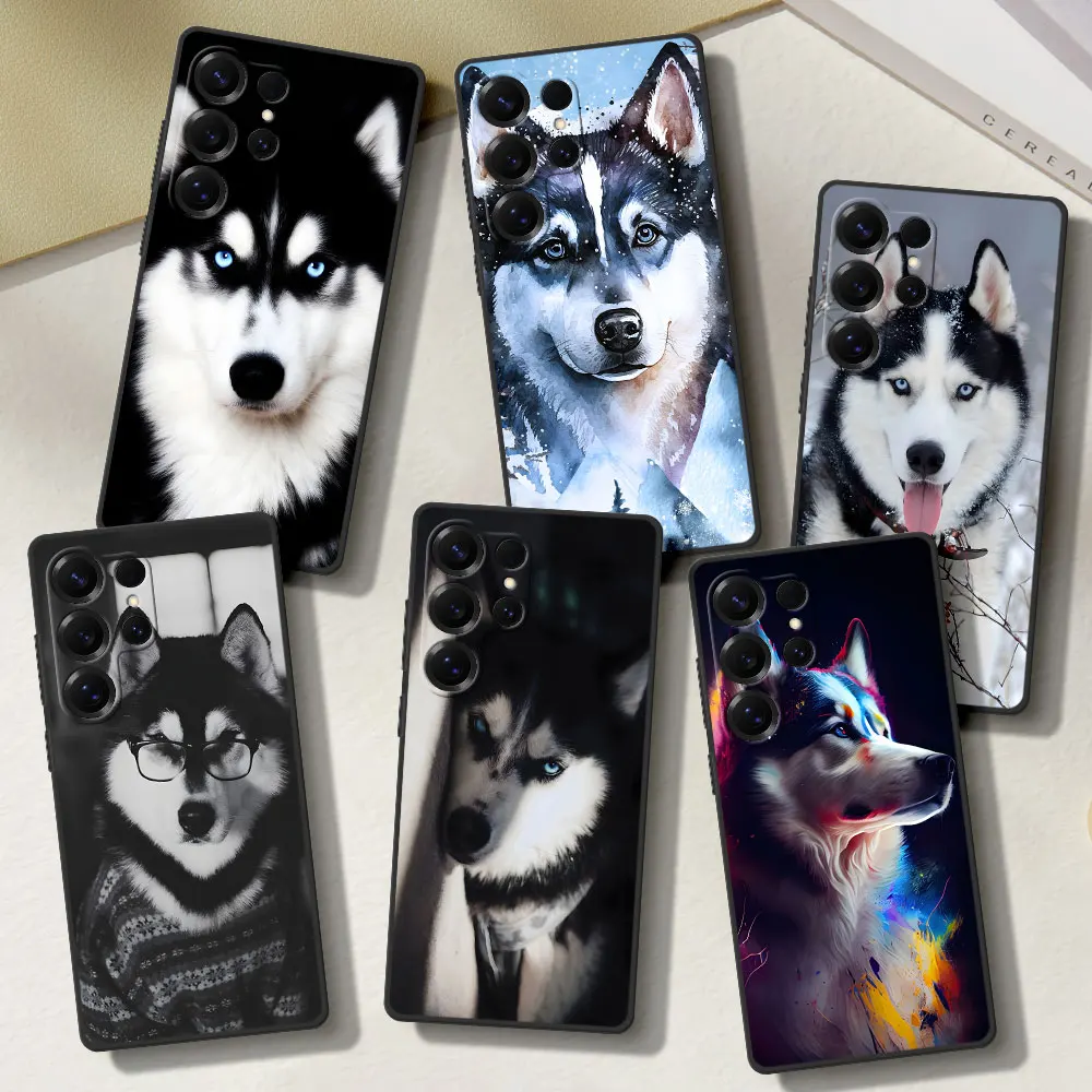 Animal Husky Cute P… - image