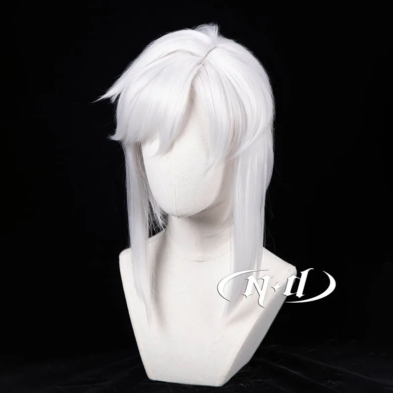 ND リンク コスプレ 白髪コスウィッグ 耐熱合成 ゲームコスチュームパーティー コミックコン コーザー クリスマス ハロウィンパーティー用