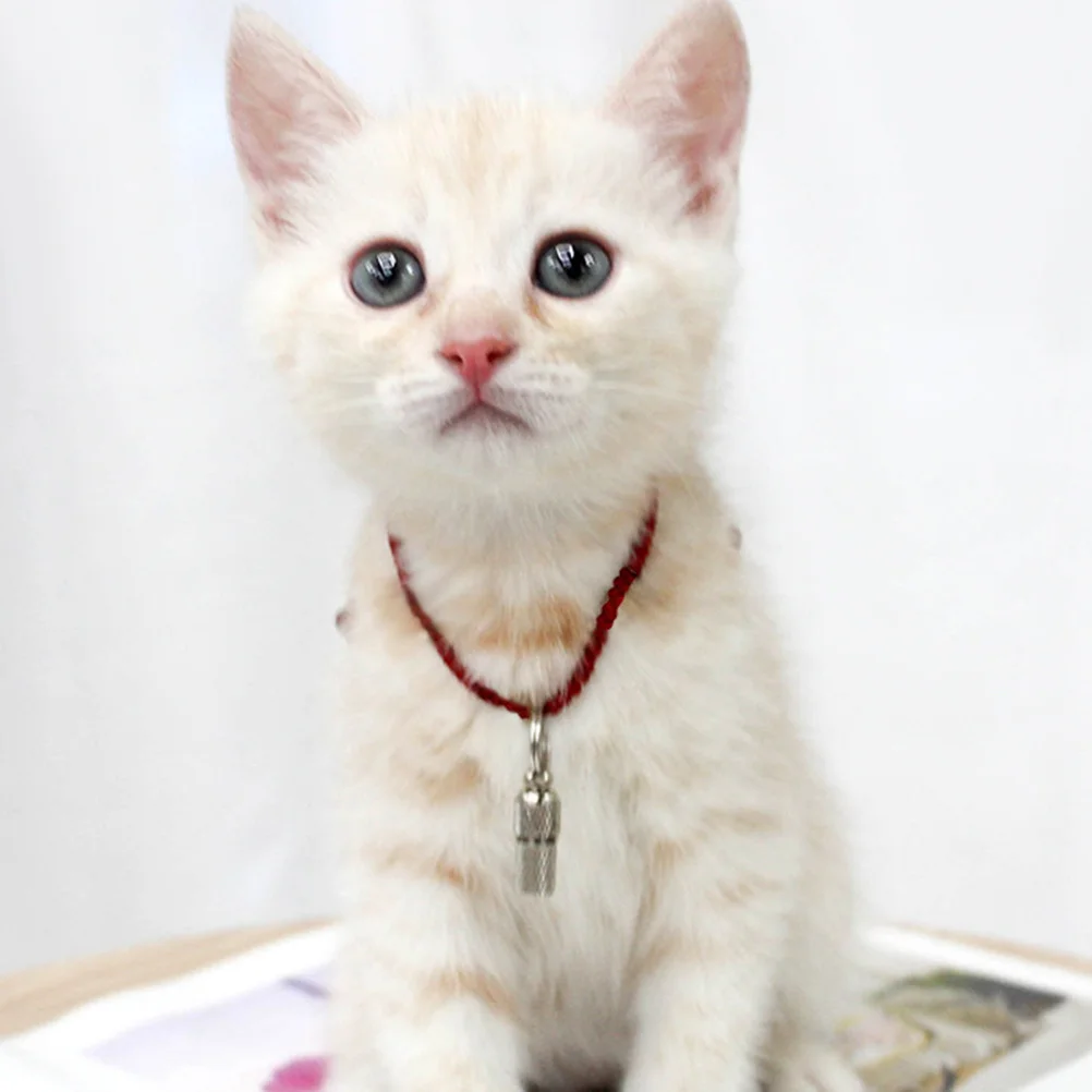 

6pcs Tags Hollow Phone Number Tubes Bottle Tube Pet Address Tags For Cat Dog Name Address Anti Pet Supplies