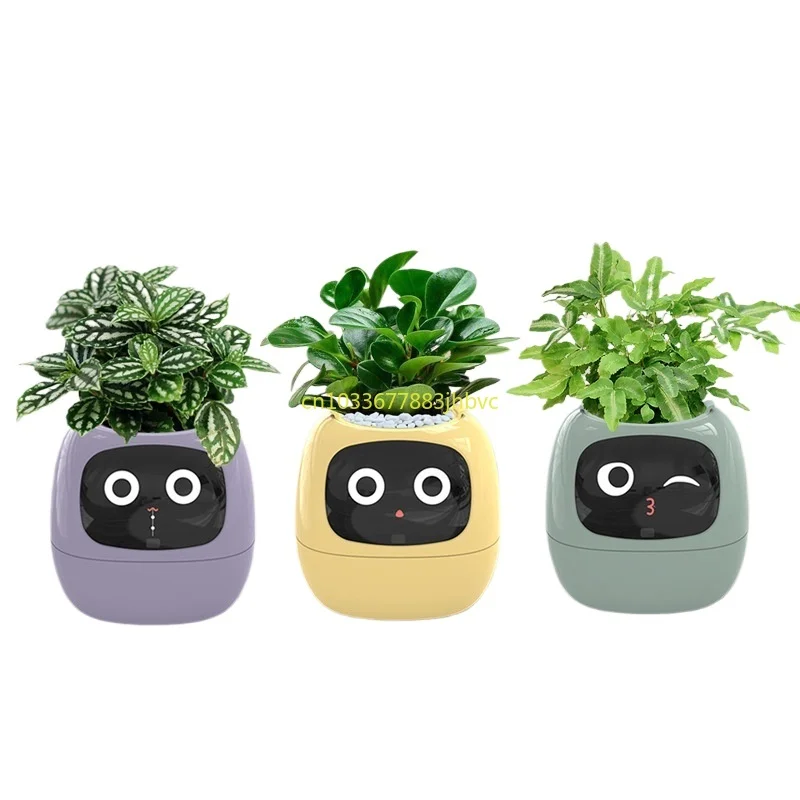 

New Smart and Cute Pet Pot Ivy Table Top Green Plants Let Your Plants Express Emotions