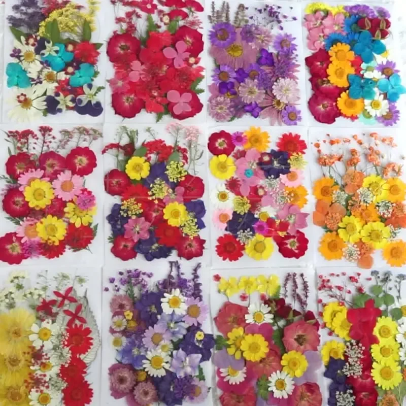 31~35PCS,Pressed Mixed Natural Plant Dried Pressed Flowers Leaves,Dry Flower Press For Nail Art,Resin Jewellery,Earring,Frames