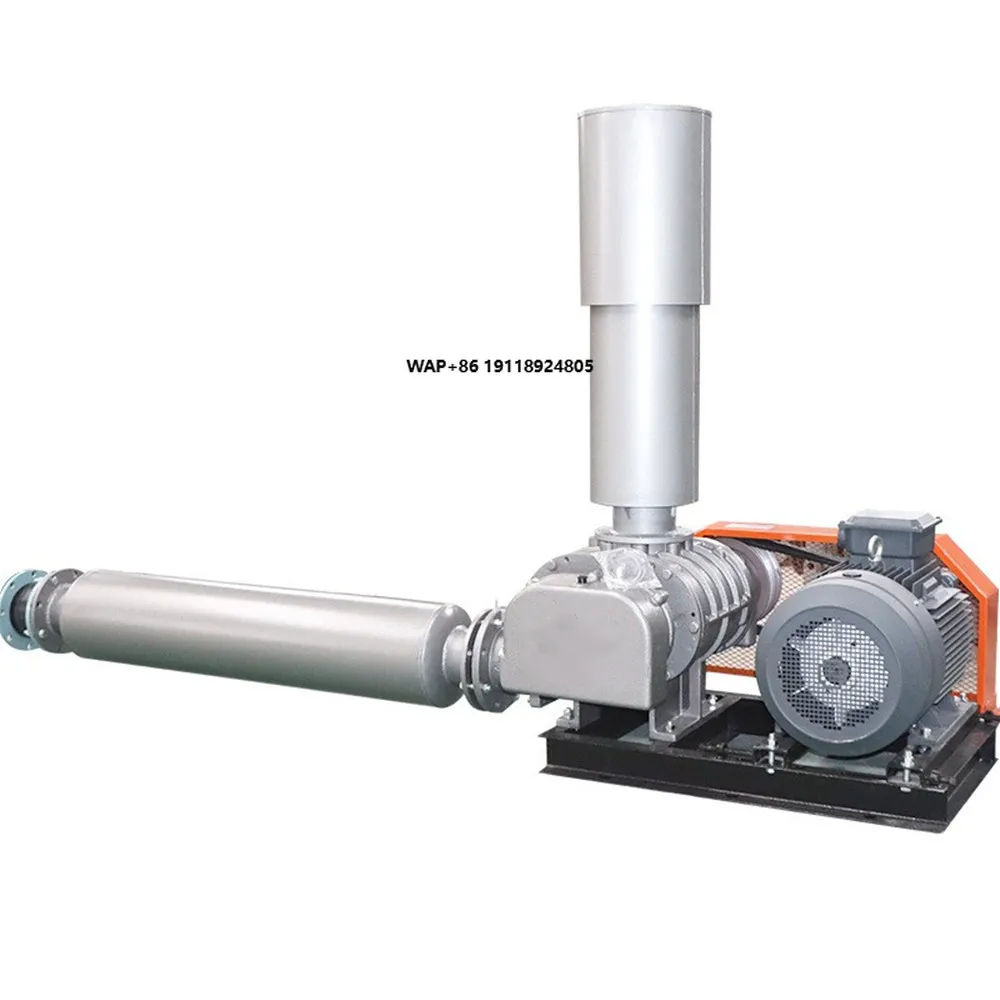 

Air Cooling Lobe Roots Type Turbo Blower for Aquaculture Industrial Medical Treatment for Inflatable Bath Aeration