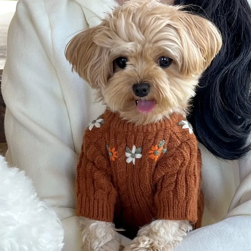 Small & Medium Dog Clothes with Bear Print, Soft Winter Cartoon Knit Pet Sweater, Two-Legged Pullover for Teddy & Maltese