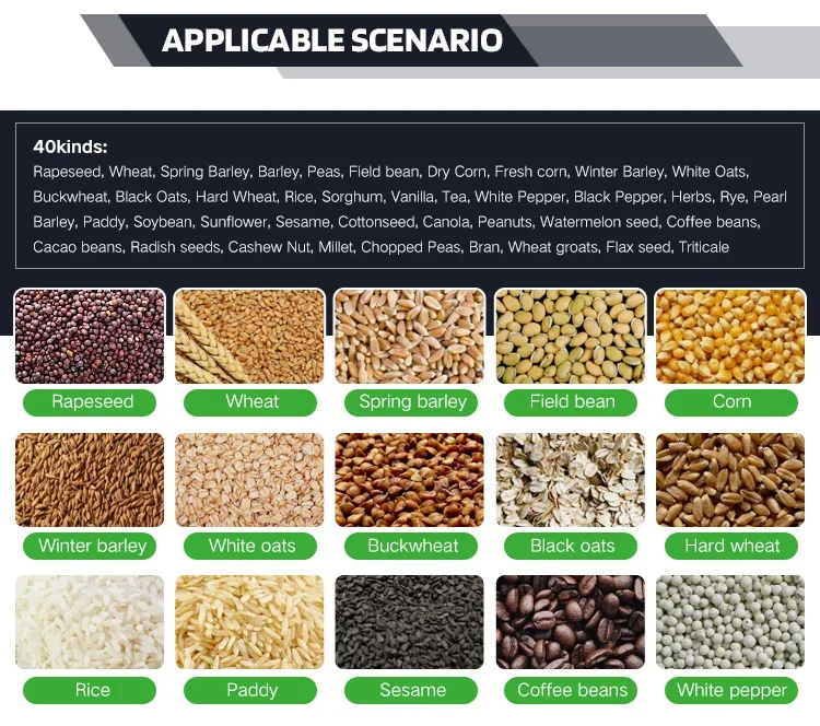 Medidor de prueba de sensor de humedad de anacardo de grano digital de semilla de cacao rápida de alta calidad, lcd