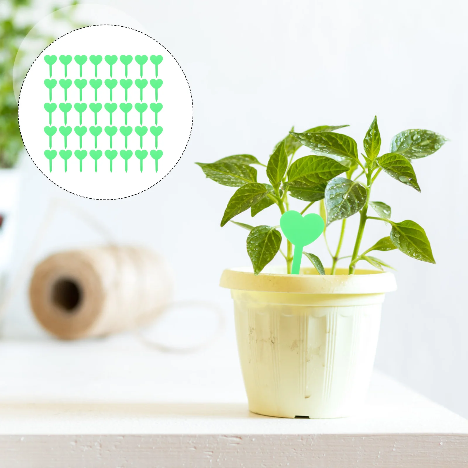 

100Pcs Heart Shape Plant Tags Plastic Durable Garden Markers Plant Classification Signs Easy Use Succulent Flower Identifying