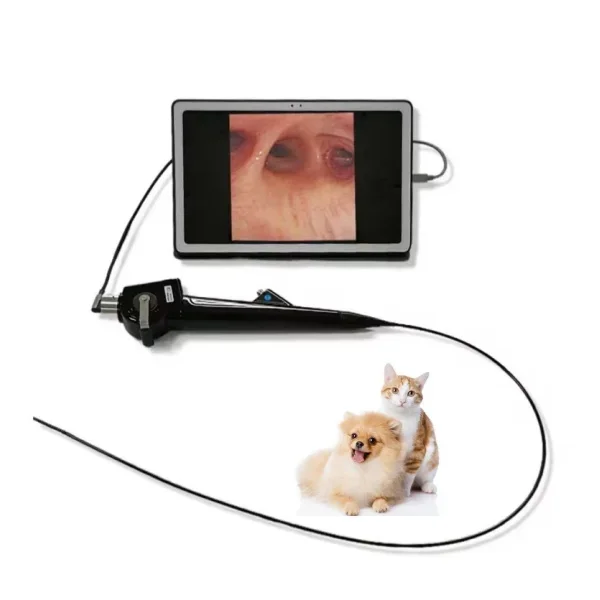 Medical Veterinary Endoscope Flexible For Cat And Dog Bronchscopy 2.8mm Diameter Veterinary Portable Animal Endoscope