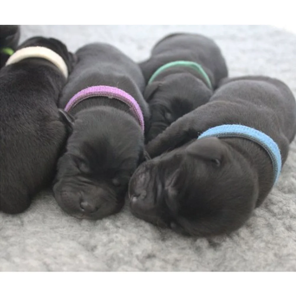 

12Pcs Tape Pet Dog Collars Nylon Printed Adjustable Christmas Snow Pattern Perfect Puppy Neck Ring Pet Supplies