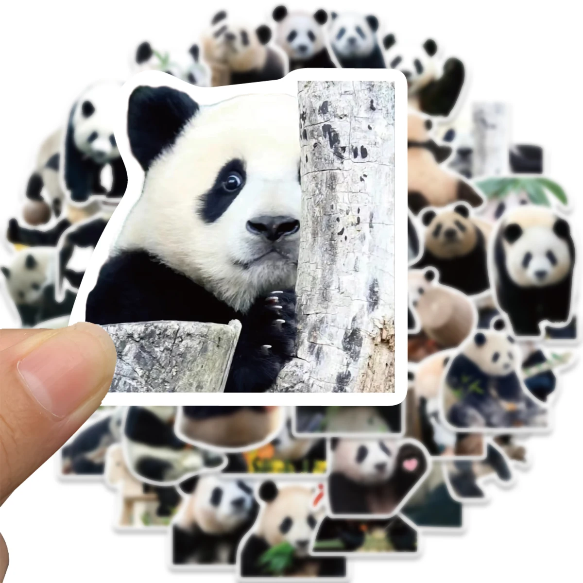 50 Stuks Schattige Panda Cartoon Dieren Graffiti Stickers Diy Telefoon Gitaar Laptop Notebook Cup Waterdichte Sticker Kids Speelgoed