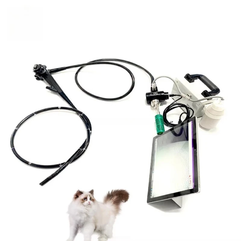 EUR VET factory direct sales of veterinary equipment, veterinary video gastroscopy, flexible endoscopes, colonoscopes
