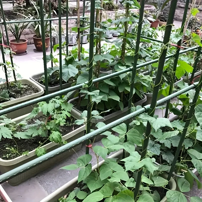 20-teilige Mehrzweck-Garten pfähle-dauerhafte Unterstützung für Gemüse, Reben und Trauben-perfekt für Tomaten, Gurken und mehr – Detail 4
