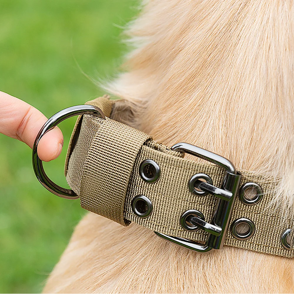Thumbnail 4 - #11 Low Cost Dog Collars That Work