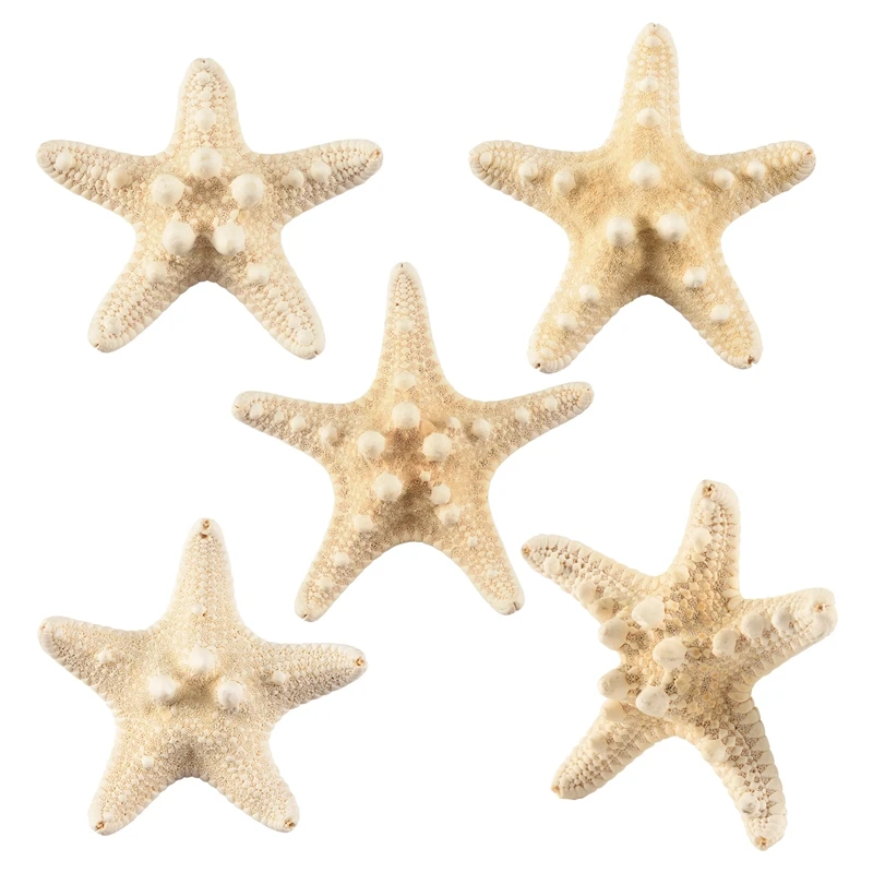 5Pcs/Lots Crafts White Bread Sea Shell Starfish, Fashion Home Decorative Handicrafts