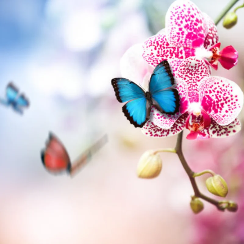 

LC Racing Верхняя скоба из углеродного волокна EMB-1 EMB-MT 2,0 мм 1:14 Радиоуправляемый автомобиль