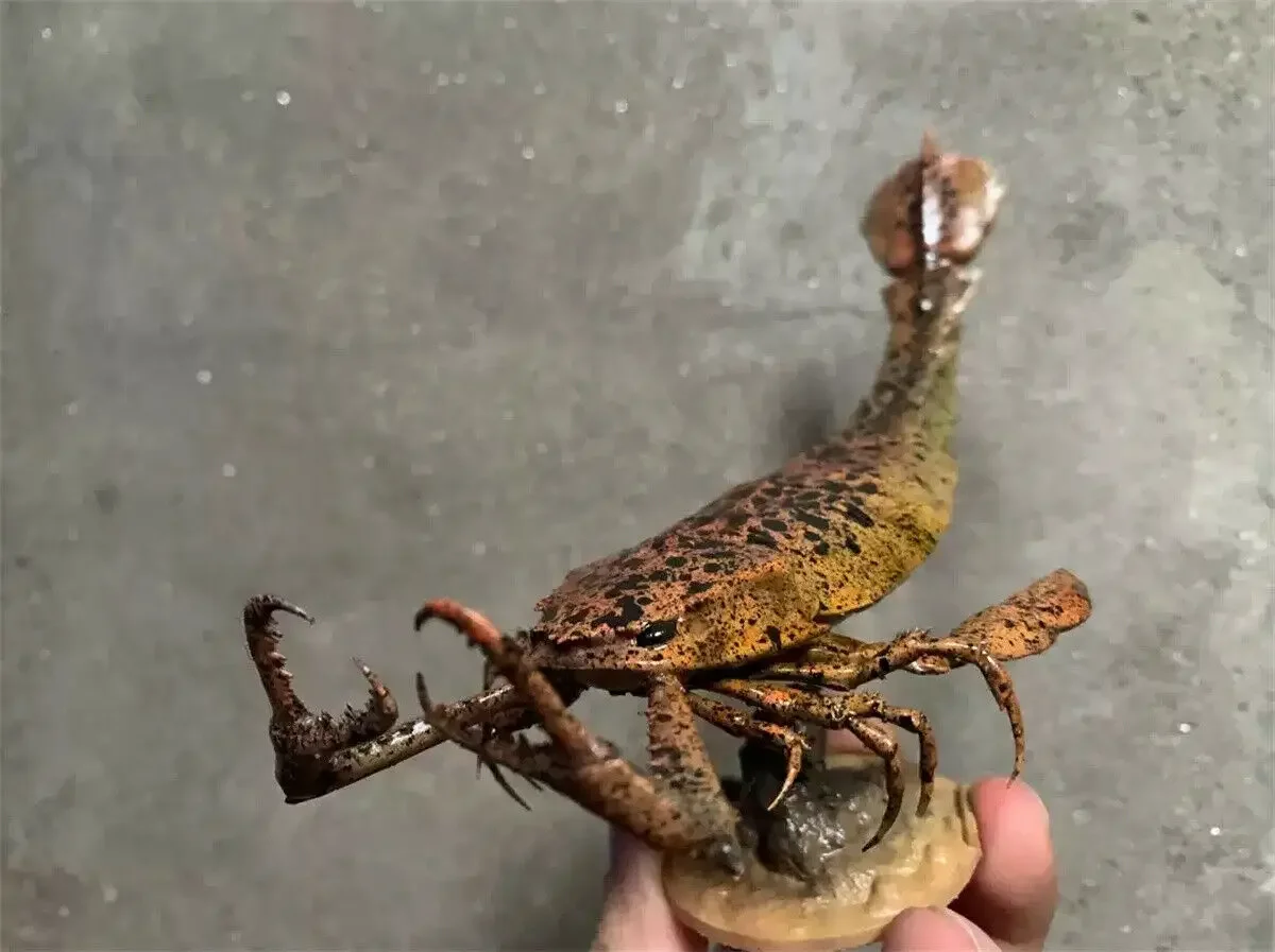 Rheic 1/35 Jaekelopterus rhenaniae Model Animal Collector GK Eurypterida Decor Adult Educational Gift Arthropoda Sea Scorpion