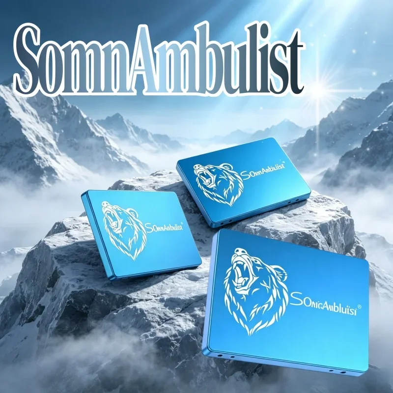 Fast Boot SomnAmbulist Stable SATA3 SSD 120/240/480GB/1TB/2TB para atualização de computador de escritório doméstico