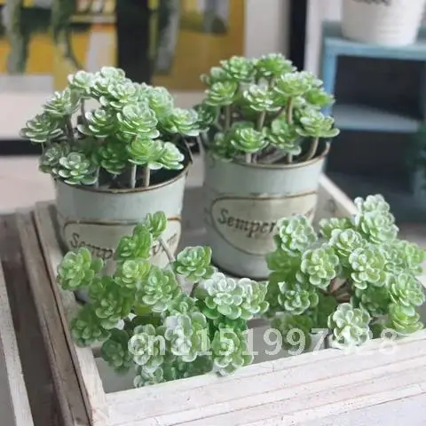 Artificial Mini Green Office Plant Wonderful Fleshy Garden Decor Artificial Succulents Artificial Potted Flowers