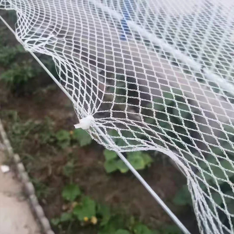 0.5mm Mesh Anti-Bird Net: Precision Protection for Grape Vines