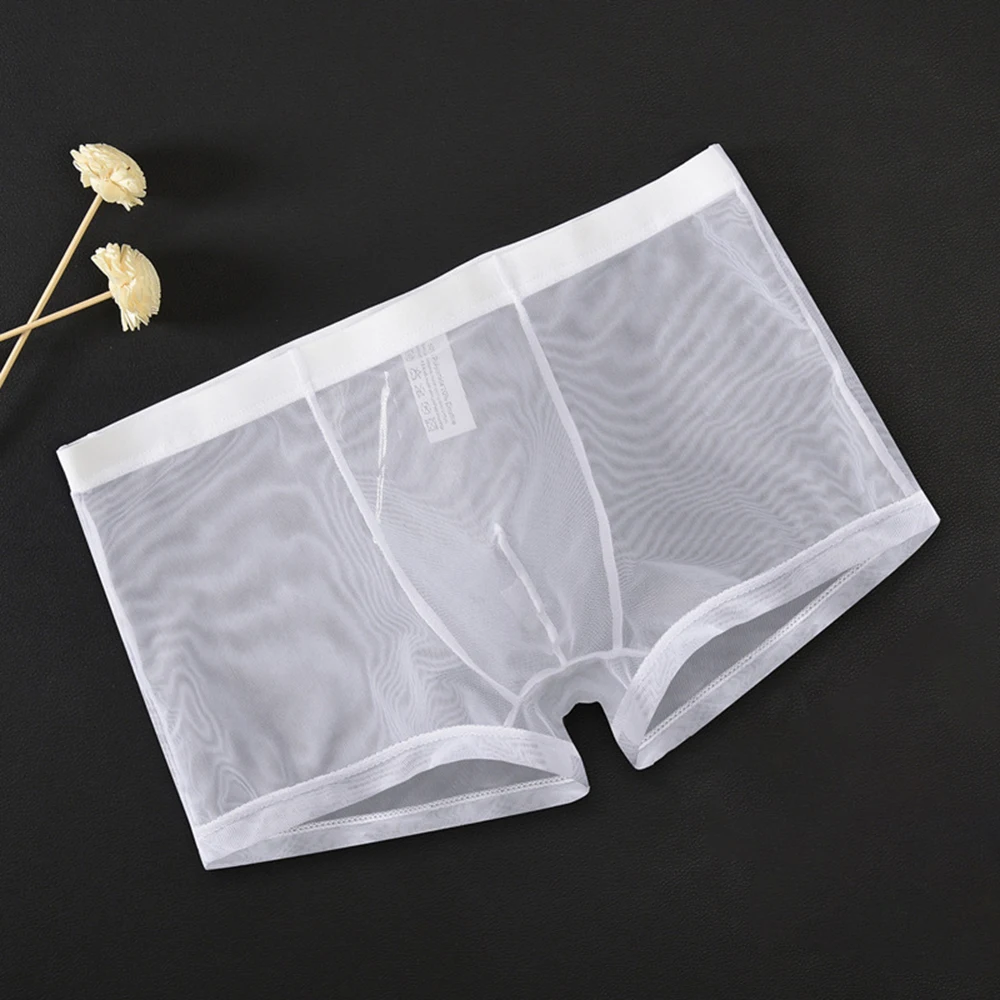 High quality New Briefs Men\'s Sexy Thin Transparent Underwear White Black Gray Light Blue L~2XL Sapphire Shorts Trunks
