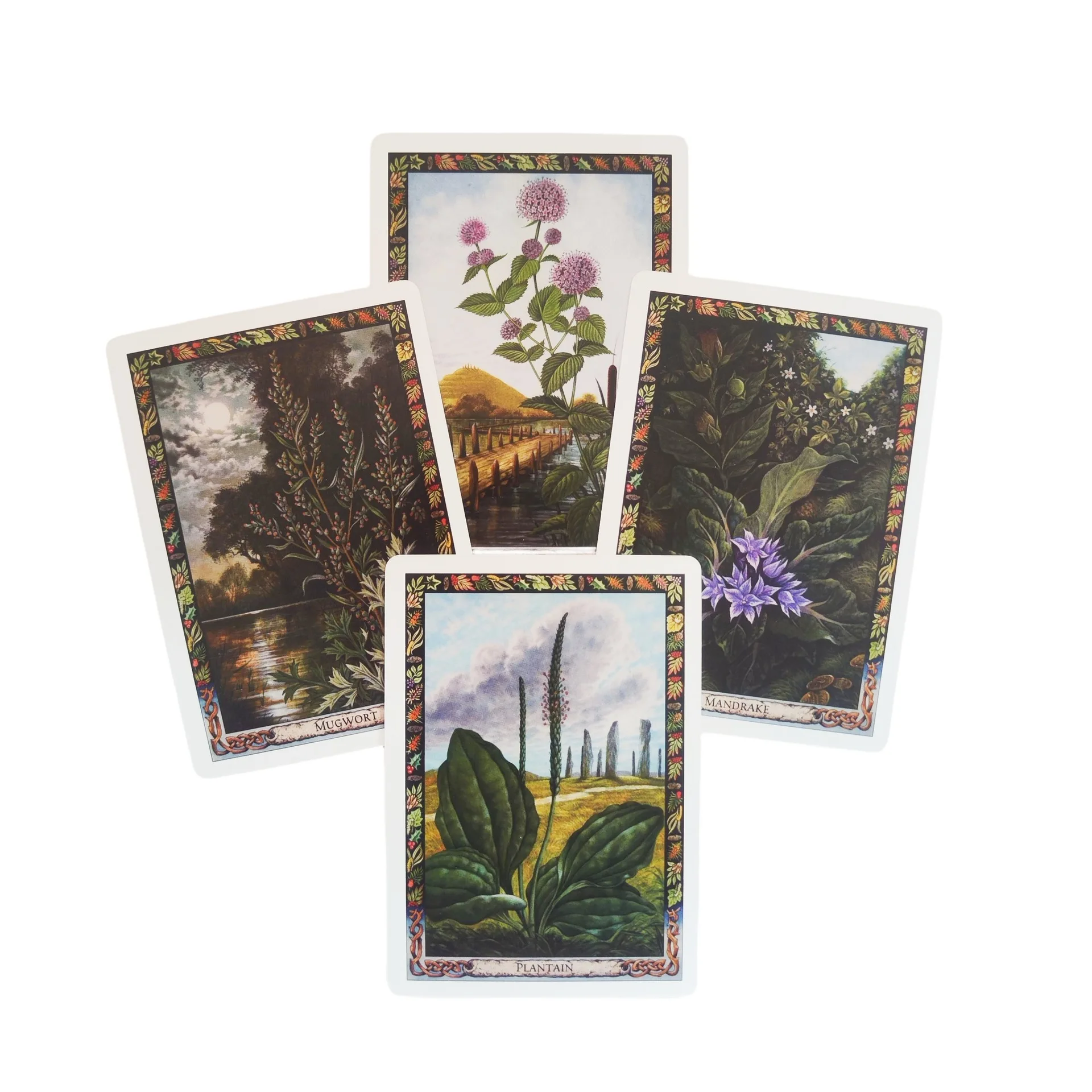 The Druid Plant Oracle cards A 36 Cards Deck English Version Fortune Telling Divination Deck Game For Family Party women