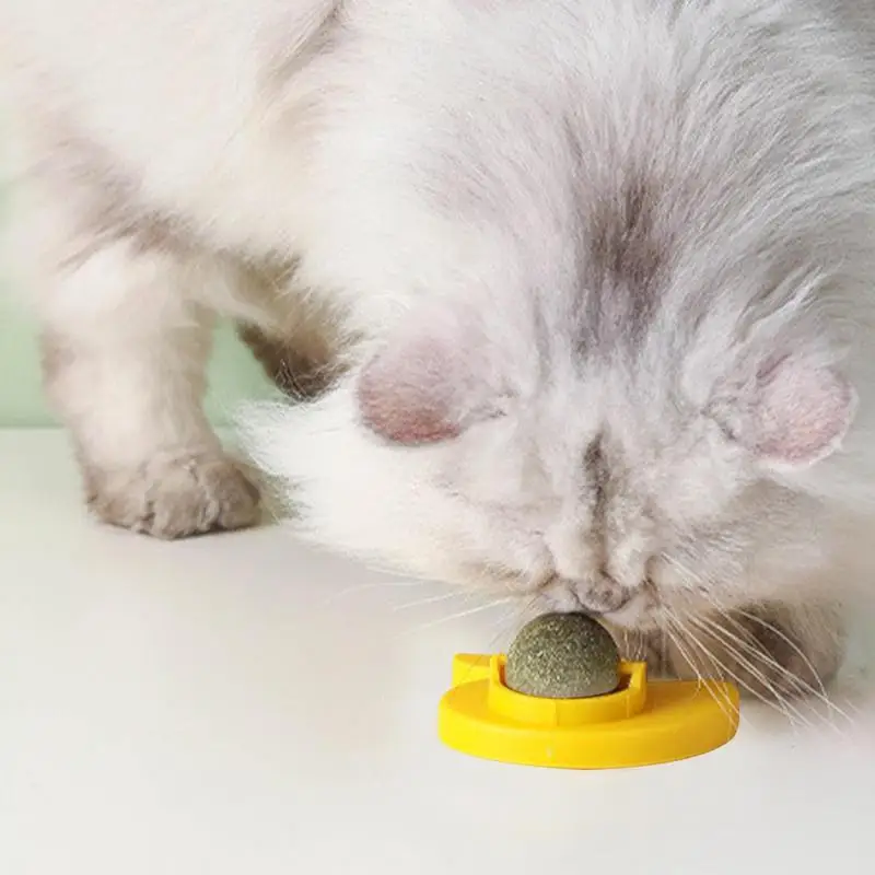 Magic Cat Balls Catnip Safe And Healthy Edible Cat Licking Toy Easy To Use Multi-Purpose Interactive Pet Supplies To Stimulate