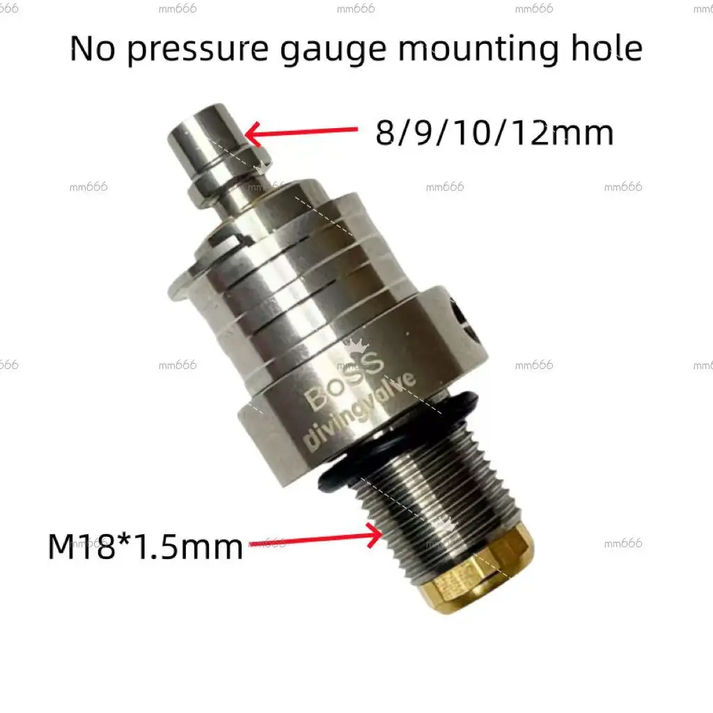 No pressure gauge installation hole, high flow direct injection valve, stainless steel material