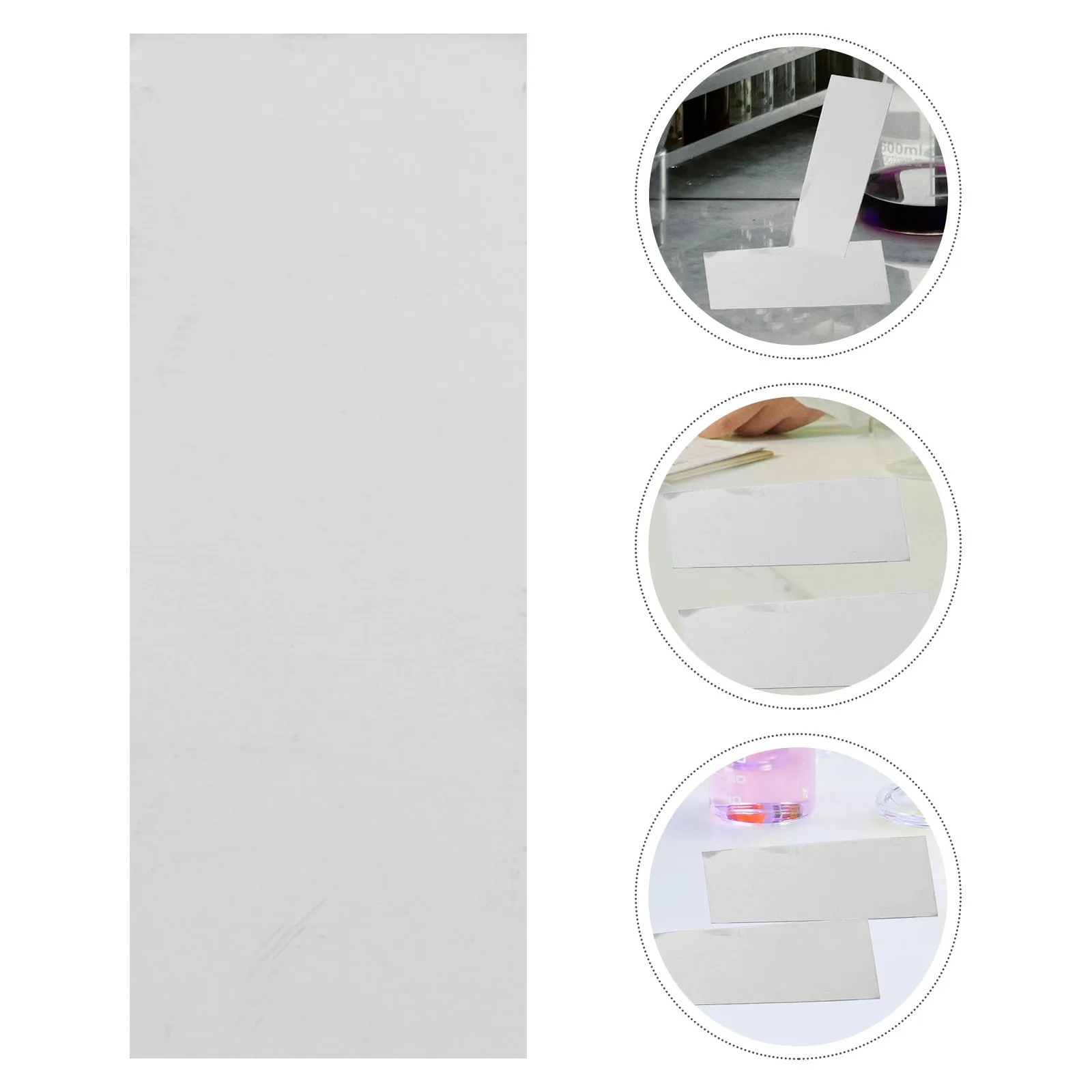 Feuilles d'expérimentation de fruits, 10 pièces, matériel de projet scientifique, fournitures d'expérimentation d'enseignement pour l'apprentissage