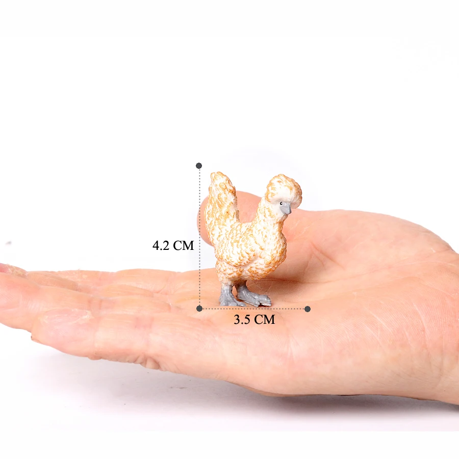 Variant: Polish chicken-1