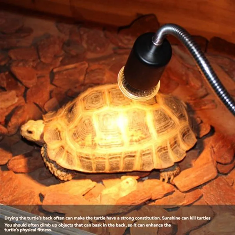 T83C-الزواحف التدفئة ضوء لمبة 8 قطعة UVA + UVB الطيف الكامل الأشعة فوق البنفسجية ضوء لثعبان السلاحف الحيوانات الأليفة الفرح