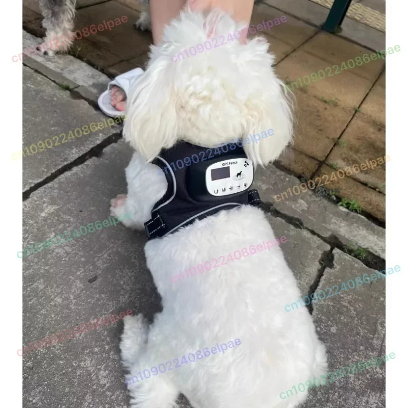 

Bark Collar with GPS Tracking, Rechargeable Dog Training E-Collar with Remote Shock Vibration Waterproof for Large Medium Dogs