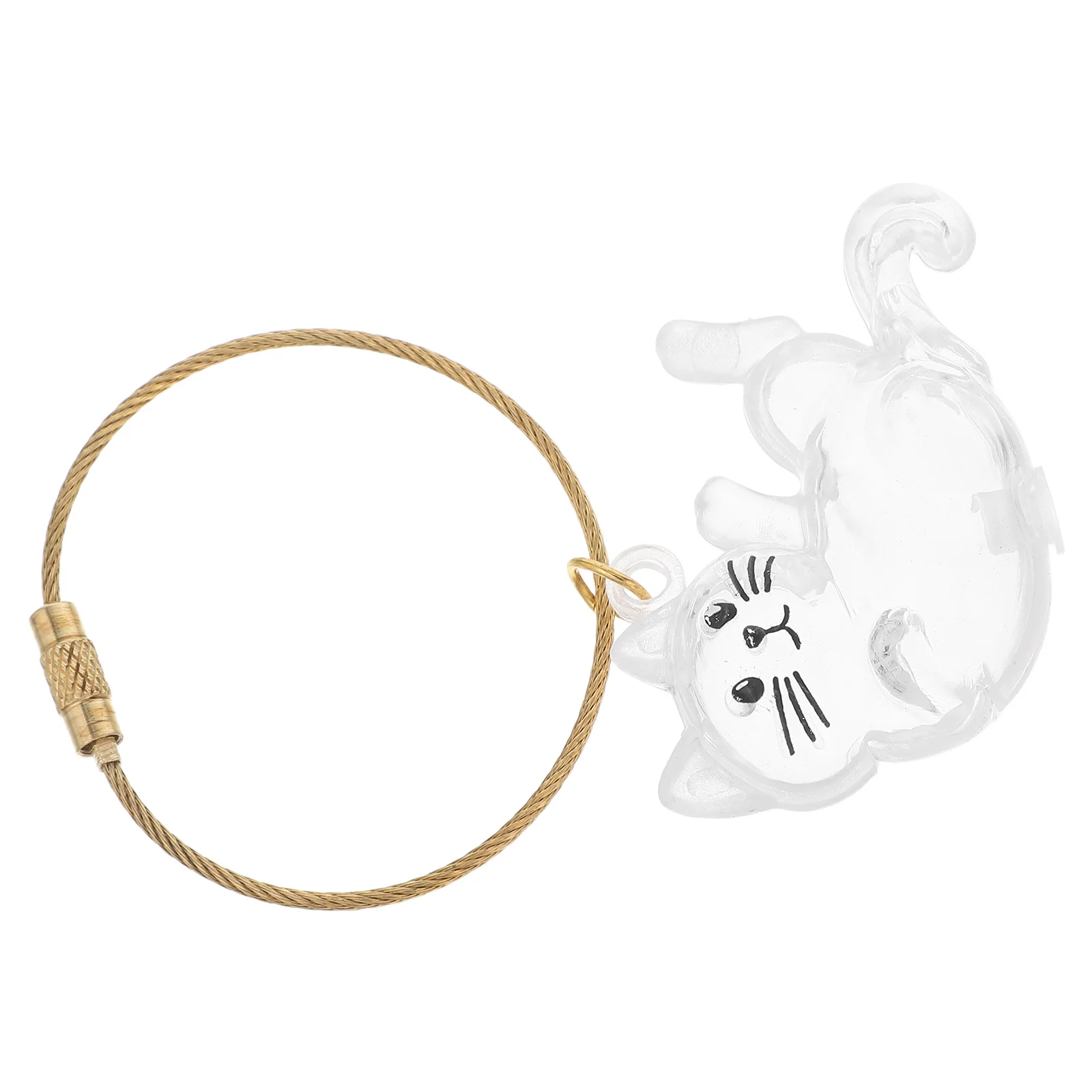 

Pet Hair Souvenir Capsule Pendant Transparent Storage Box Cute Keychain Organizer Pet Hair Keychain Refillable