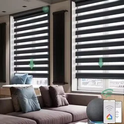 Customizable Blinds 100%Blackout Waterproof Fabric RemoteControl Connect Your Phone Homekit Motor Motorized Zebra Blind For Home