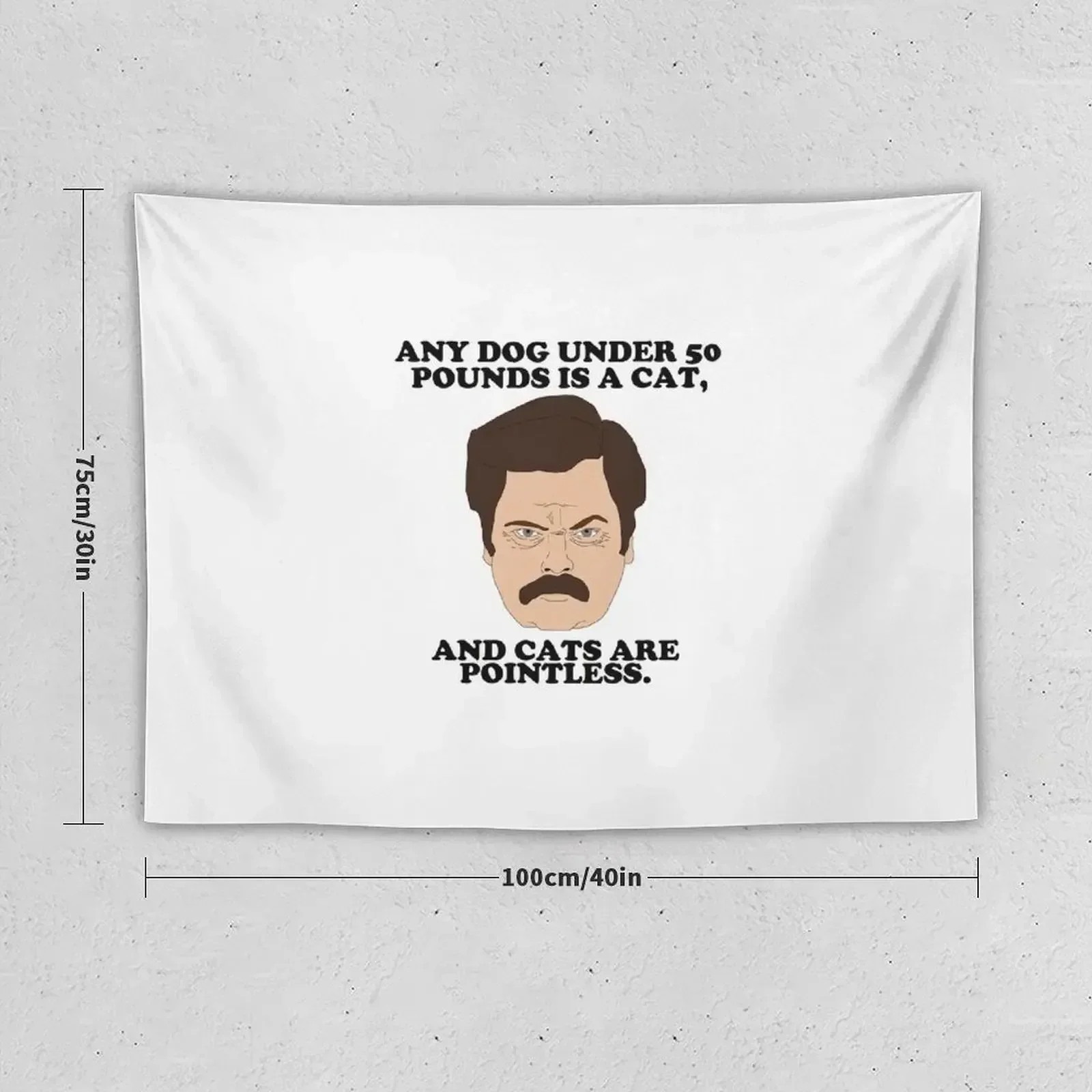 Ron Swanson - Cats Are Pointless Tapestry Home Decoration Accessories Decoration Room Tapestry