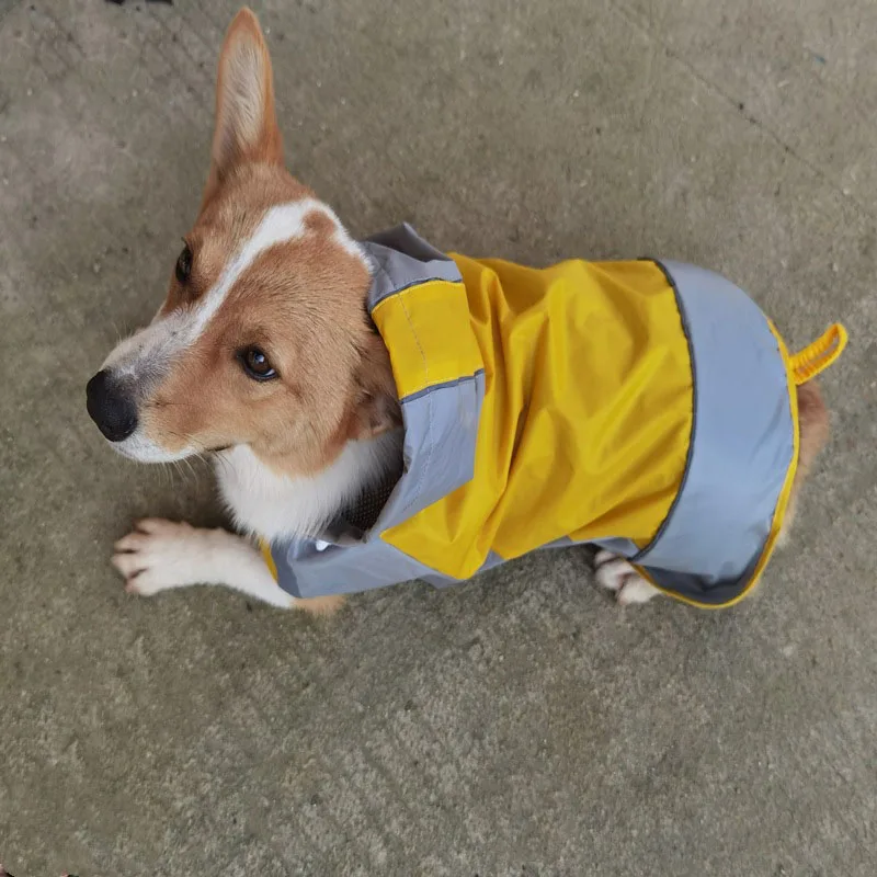 Summer New Dog Colored Raincoat Outdoor Two Legged Waterproof and Dustproof Pet Raincoat Large Medium Dog Corgi Cool Pet Apparel