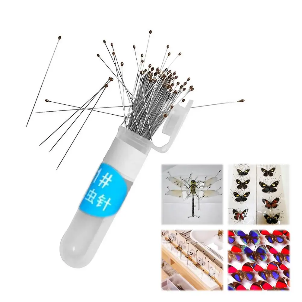 

100pcs Stainless Steel Specimen Pins Insect Pins For School Lab Education Entomology Body Dissection Positioning Insect Needle