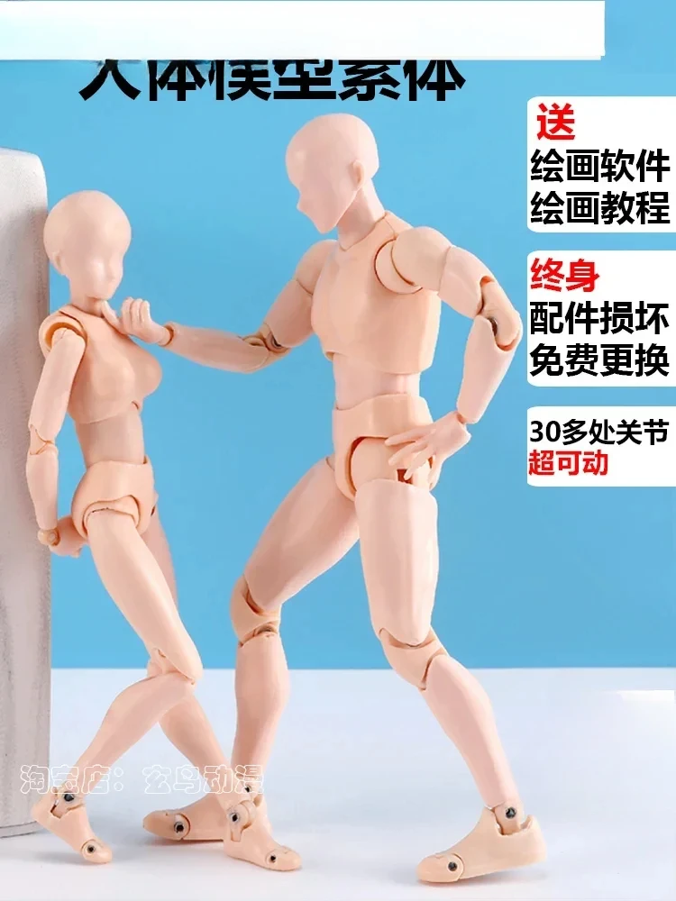 

The whole body joint is moving, the body is male and female, the comic mannequin