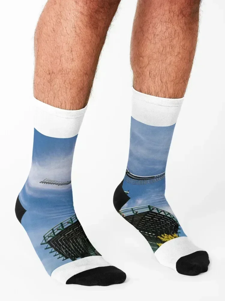 Zaanse schans windmills Socks hiking valentine gift ideas Crossfit basketball Mens Socks Women's