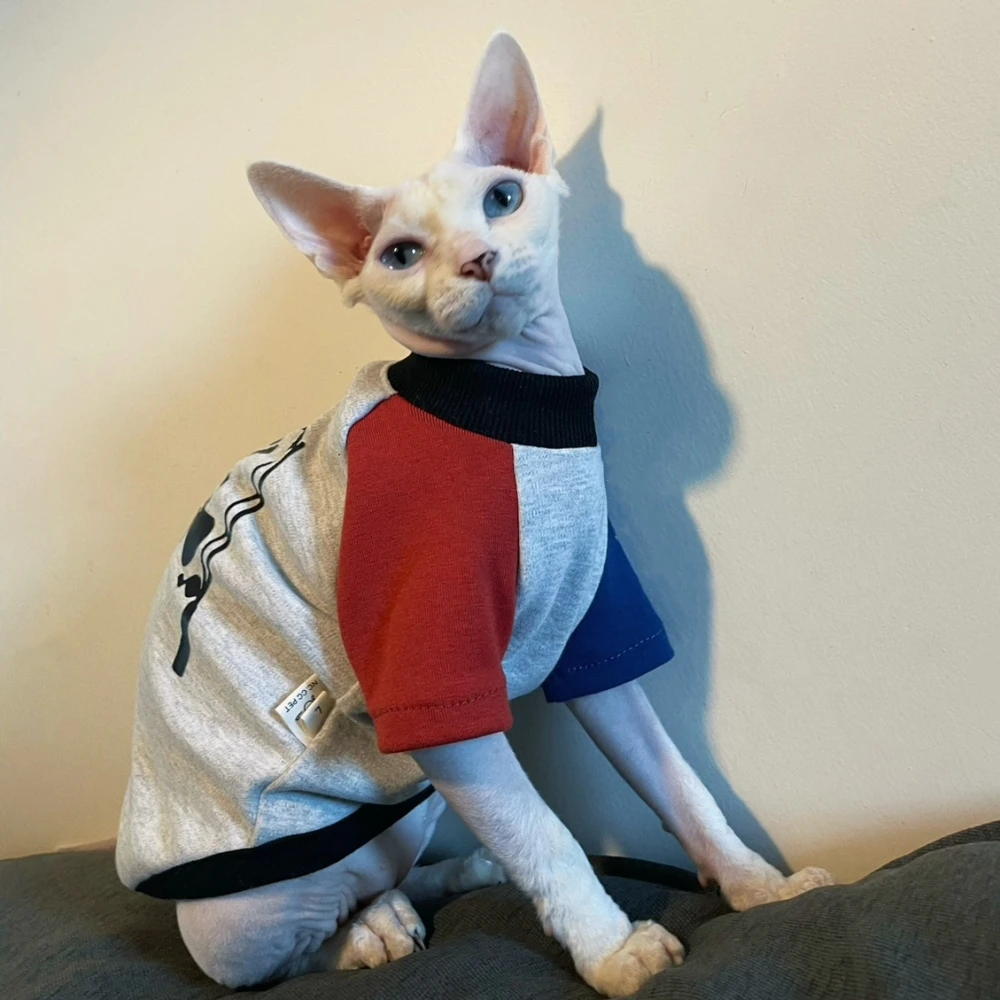 

Одежда с котом Sphynx зимняя модная мультяшная Толстовка для мужчин коты мягкое серое хлопковое пальто для Devon Rex теплый костюм для котят