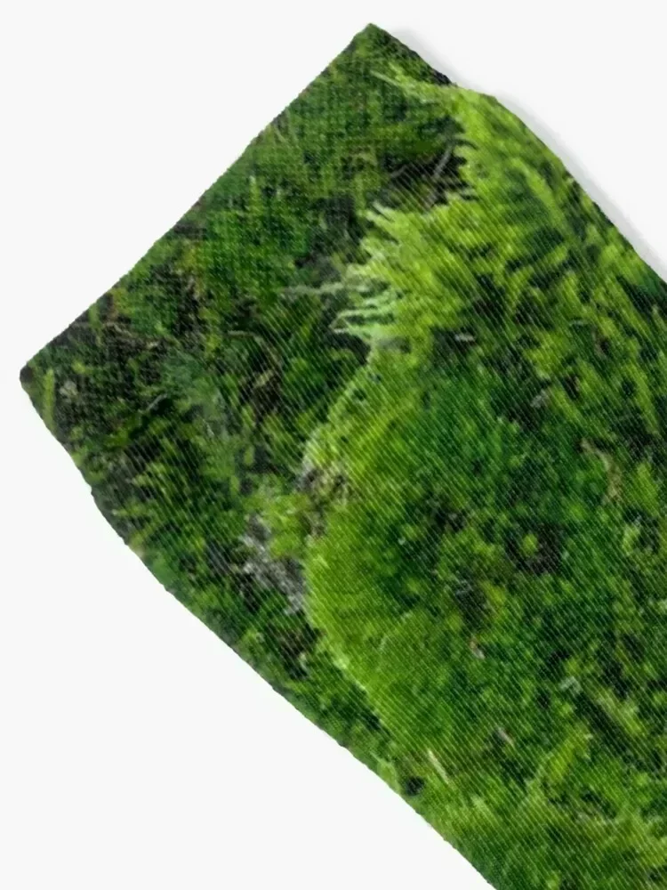 Moss - Green Luscious Mossy Texture - Full on Natural Moss Mounds - Earthy Greens -Turning Moss Green Pattern Socks