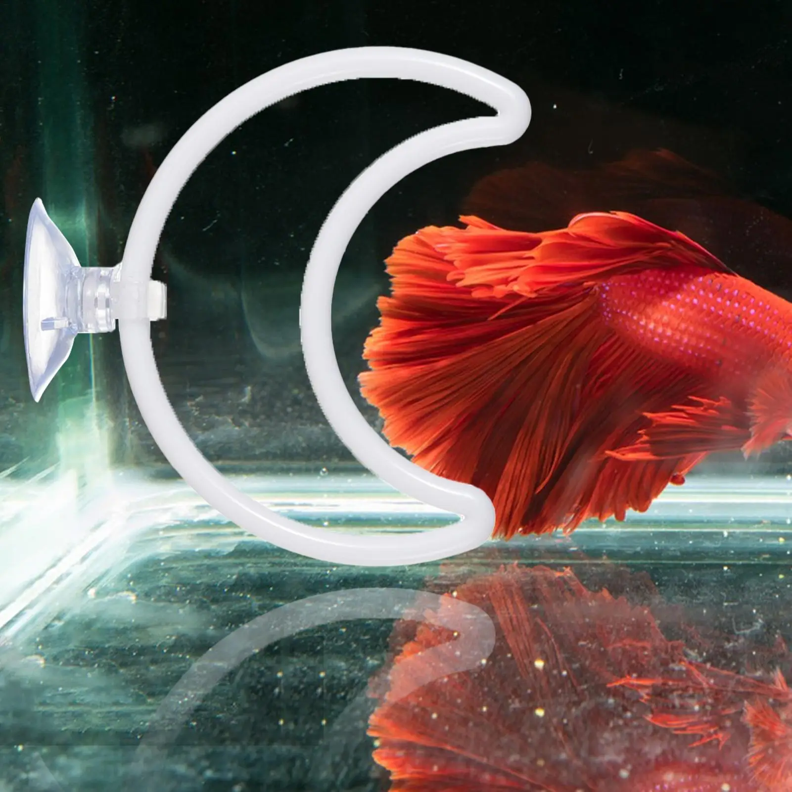 Betta Exercise Ring with Filter Balls 2PCS Interactive Enric