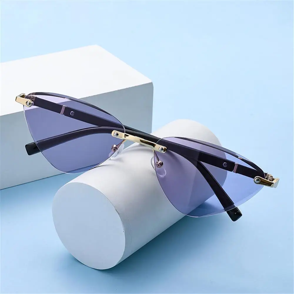 Trendy Triangular Cat Eye Sunglasses Punk Cut-Edge Unique Temples Shades UV400 Protection Hip-Hop Sun Glasses Unisex